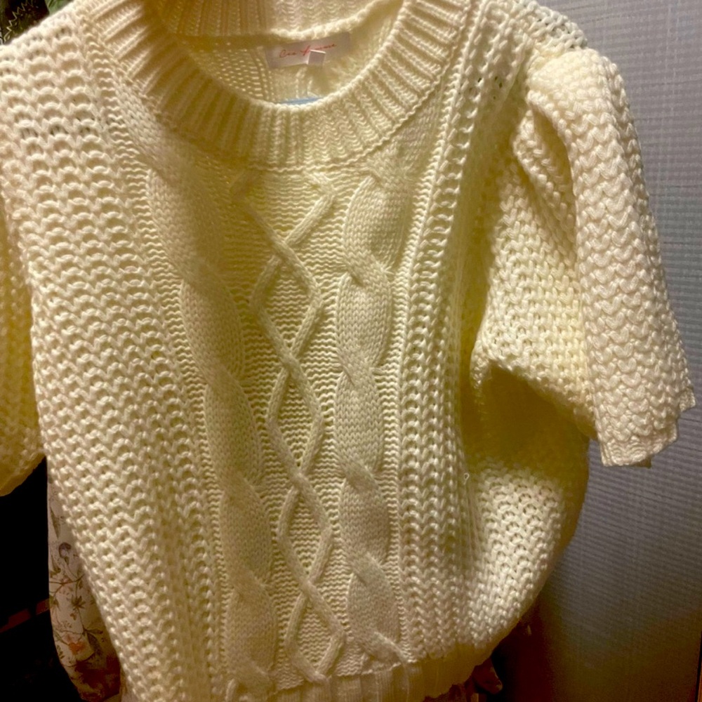 Gorgeous brand new  ivory short sleeve sweater. Size MEDIUM.   Never worn.